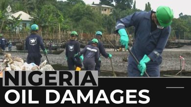 environmental damage from Ogoni oil