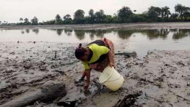 Ogoni oil spill