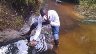 An Ogoni oil spill site