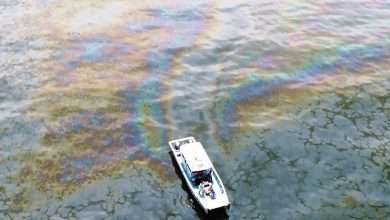 oil spils niger delta