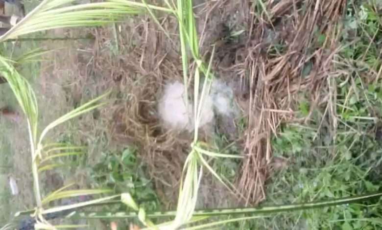 Bodo community in Ogoni withnessed at ;east 7 oil spills between 2022 and 2023