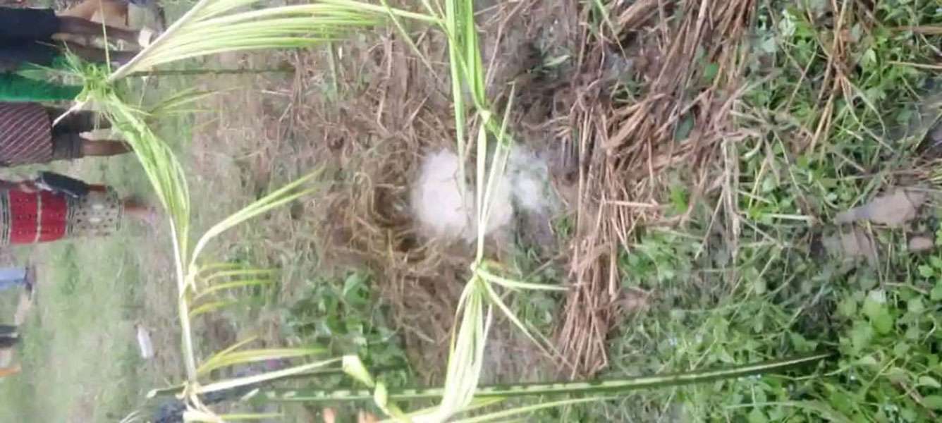 Crises Loom in Bodo Over Withdrawal of Oil Spill Compensation Bodo community in Ogoni withnessed at ;east 7 oil spills between 2022 and 2023