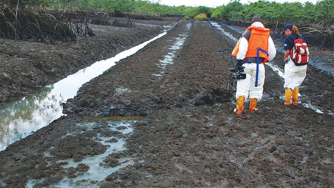 Group gives HYPREP’s contractors 14-day ultimatum to mobilise to site The Ogoni cleanup has largely been described as a scam by the Movement for the Survival of the Ogoni People (MOSOP).