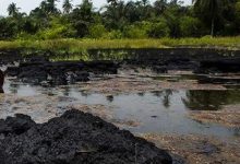 Ogoni Oil Exploration Site