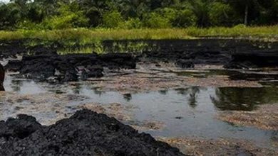 Ogoni Oil Exploration Site